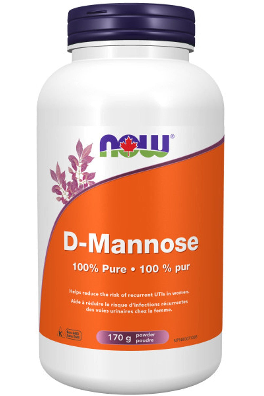 NOW D-Mannose (Powder 170 grams)
