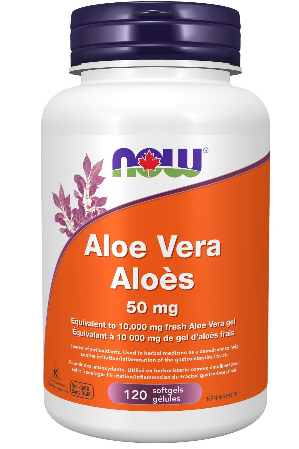 NOW Aloe Vera (Concentrate 50 mg - 120 sgels)