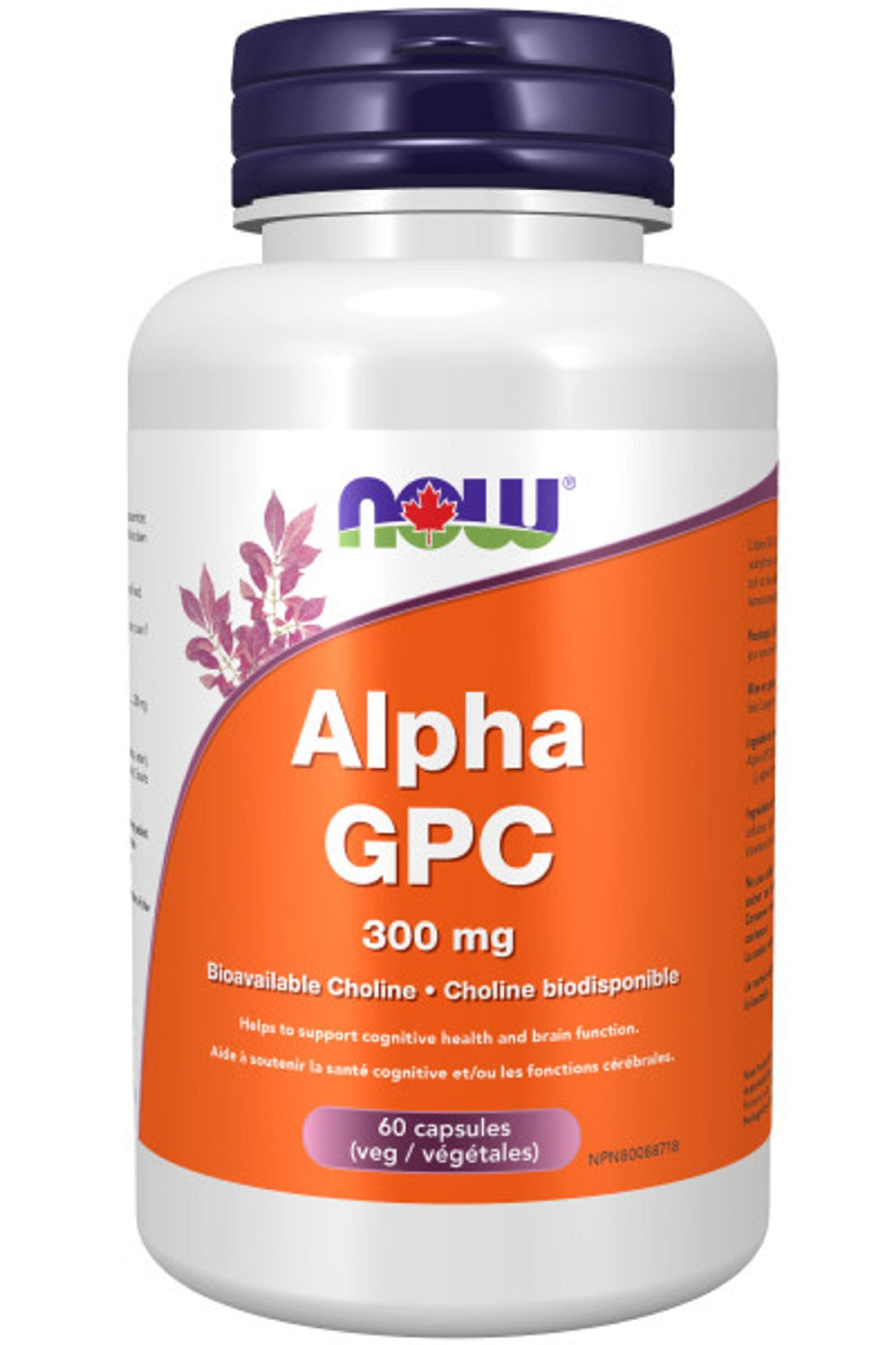 NOW Alpha GPC (Bioavailable Choline 300 mg 60 vcaps)