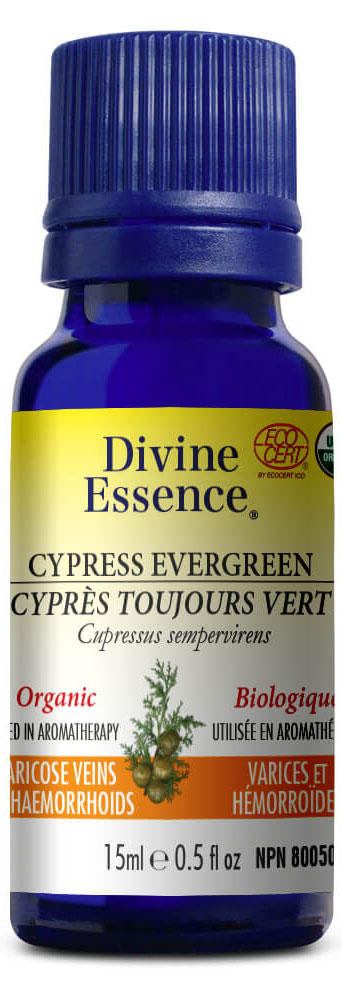 DIVINE ESSENCE Cypress - Evergreen (Organic - 100 ml)