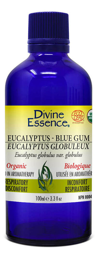 DIVINE ESSENCE Eucalyptus - Blue Gum (Organic - 100 ml)