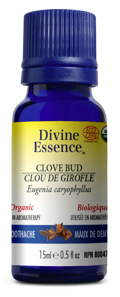 DIVINE ESSENCE Clove Bud (Organic - 100 ml)